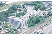 987.jpg