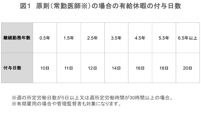 常勤医師の場合の有給休暇の付与日数