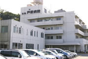 C100987_co_1.jpg