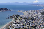 C101356_co_2.jpg